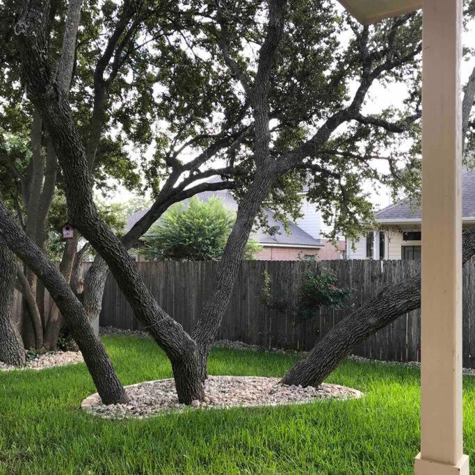 Cozy & Spacious 3 Bed Home North San Antonio - Stone Oak Area Bulverde Exterior foto